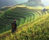 亚洲国色拍偷拍一区: 亚洲多彩风情的魅力之旅