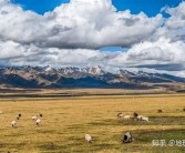亚洲亚一区日韩在线: 亚洲地区最新动态与资讯分享