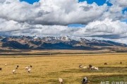亚洲一区二区 国产精品: 探索亚洲文化的多样性与魅力