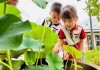久久尔精品一区亚洲: 探寻亚洲文化的无与伦比魅力