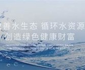 亚洲日本道一区高清在线观看