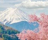 亚洲图库日本一区: 探索日本美景与文化之旅
