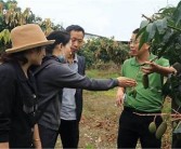 香蕉国产亚洲一区: 香蕉产业的未来发展动向研究