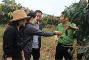 香蕉国产亚洲一区: 香蕉产业的未来发展动向研究