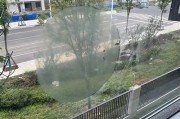 四虎精选亚洲一区: 亚洲娱乐盛宴尽在此处