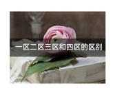 亚洲AV成为人电影一区二区三区:探索人类与科技的交汇之路