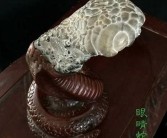 欧洲亚洲一区二区小说: 古老传说与现代纷争的交汇