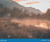 唯美清纯亚洲一区三区: 梦幻般的清晨田园风光