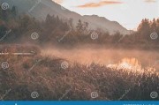 唯美清纯亚洲一区三区: 梦幻般的清晨田园风光