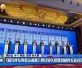 亚欧影视精选：一区精品