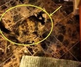亚洲综合图文偷拍一区: 精彩瞬间尽在这里，快来围观！