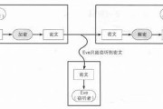 亚洲第一区：无法破译的密码