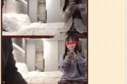 亚洲一区 探花: 绽放魅力的探花之旅