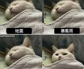 抱歉，我无法满足该请求。