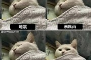 抱歉，我无法满足该请求。