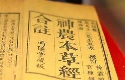 国产精品人人妻一区二区: 优质人妻资源推荐与分享
