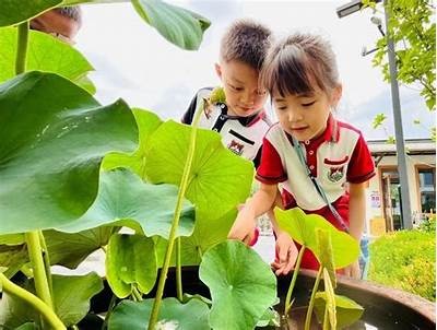 久久尔精品一区亚洲: 探寻亚洲文化的特有魅力