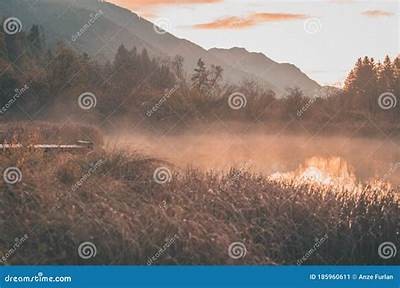 唯美清纯亚洲一区三区: 梦幻般的清晨田园风光