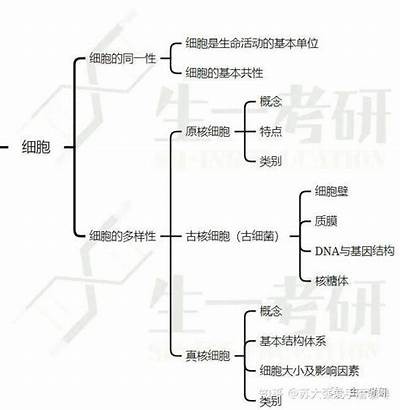 h文亚洲一区: 探索亚洲情色文学的魅力与多样性
