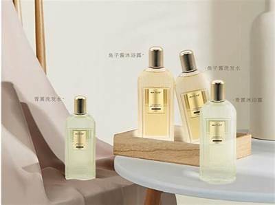 秦先生亚洲一区: 亚洲美食与文化的无限探索