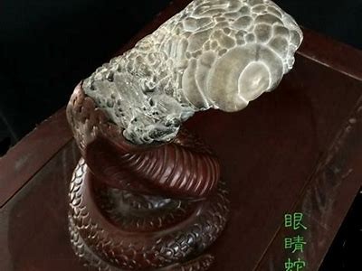 欧洲亚洲一区二区小说: 古老传说与现代纷争的交汇
