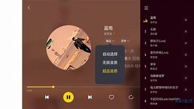 亚洲高清美国一区:畅享无损音质的视听盛宴